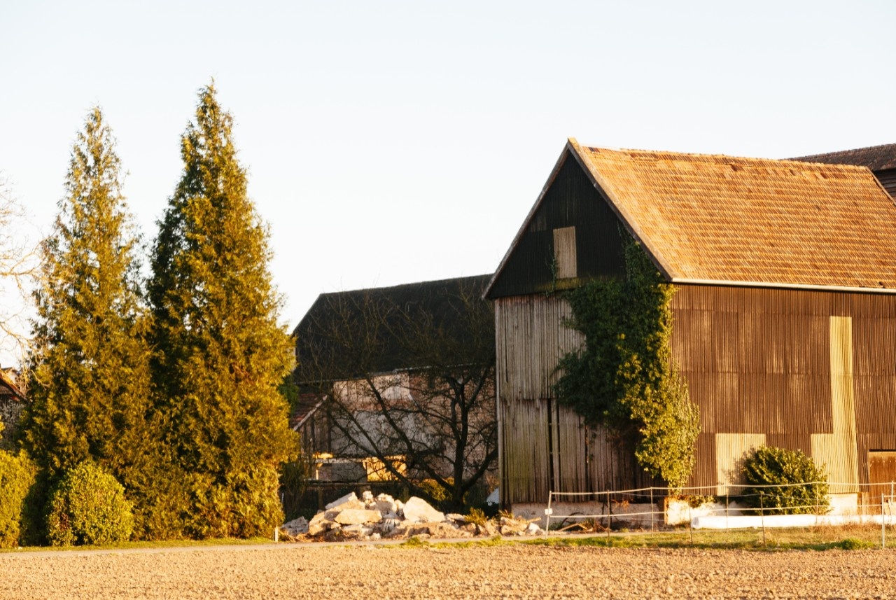 Gruselempfehlung für Halloween