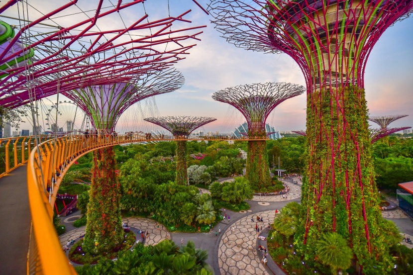 Die Superbäume von Singapur
