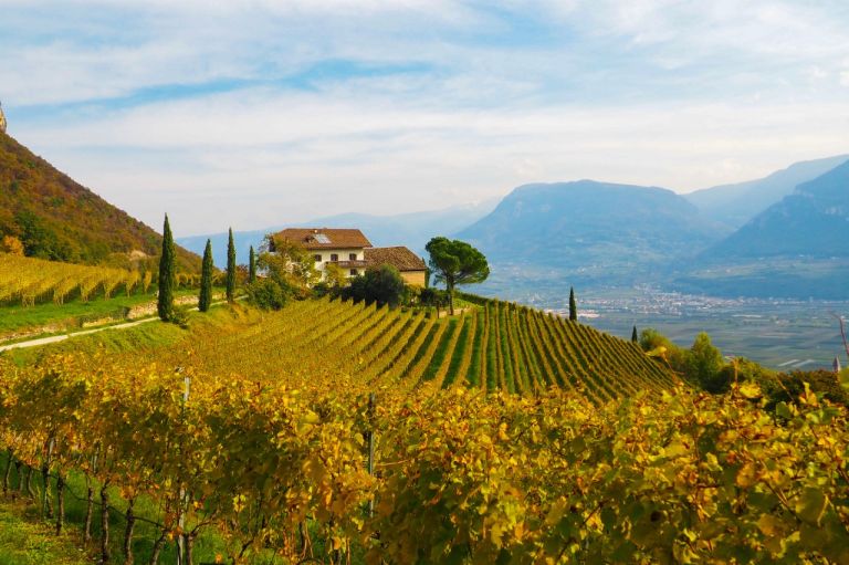 11 Unterland Kurtatsch-2 S 75.jpg