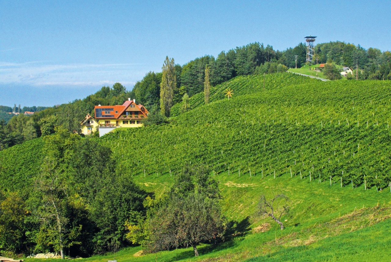 Blick über die Steirische Toskana