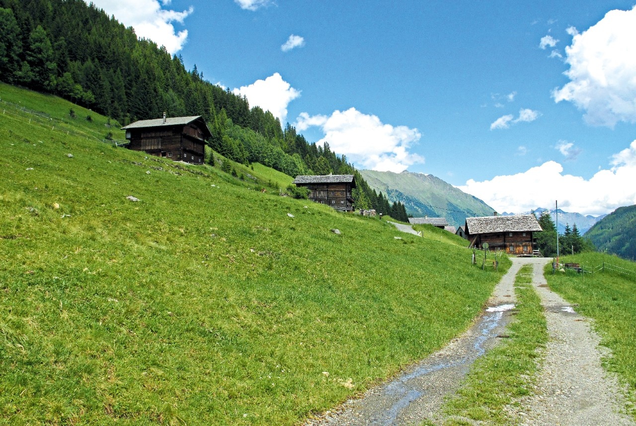 Leben am Steilhang