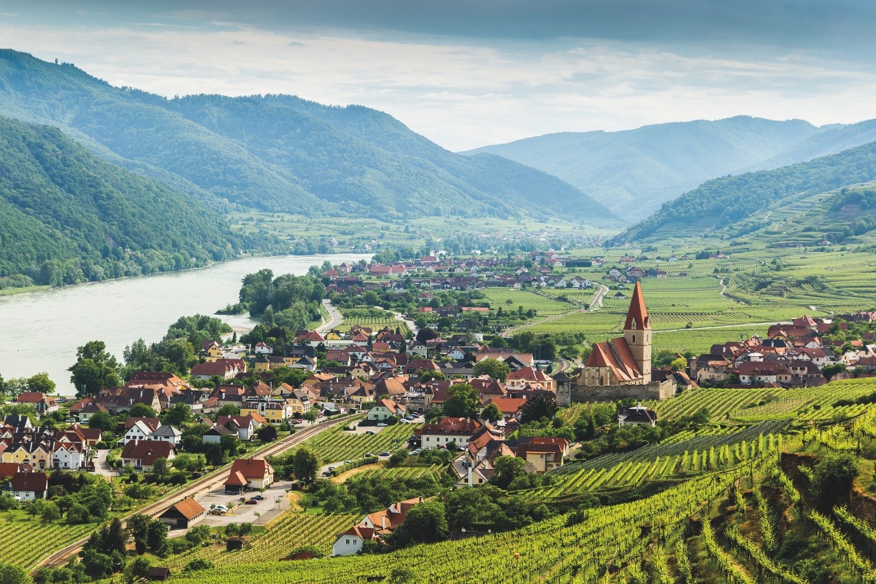 Panoramaweg Weißenkirchen – Eintauchen in die Schönheit der Wachau